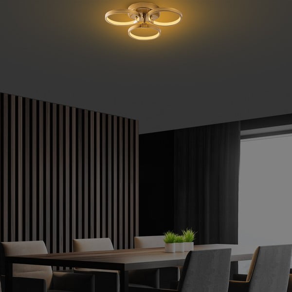 Kuldne LED laevalgusti ø 17 cm Halka - Opviq lights-image-4