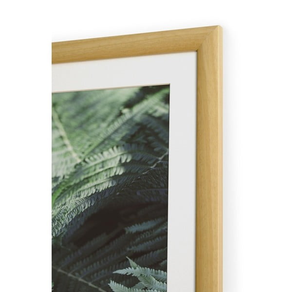 Obraz Really Nice Things Big Leaves-image-1