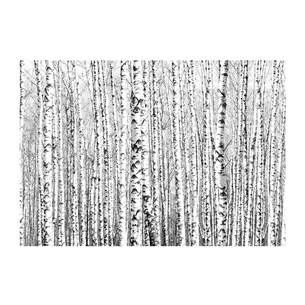 Suureformaadiline tapeet , 200 x 140 cm Birch Forest - Artgeist