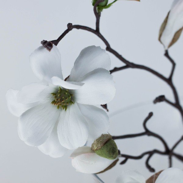 Květinová dekorace od Aranžérie, bílá magnólie ve váze-image-1