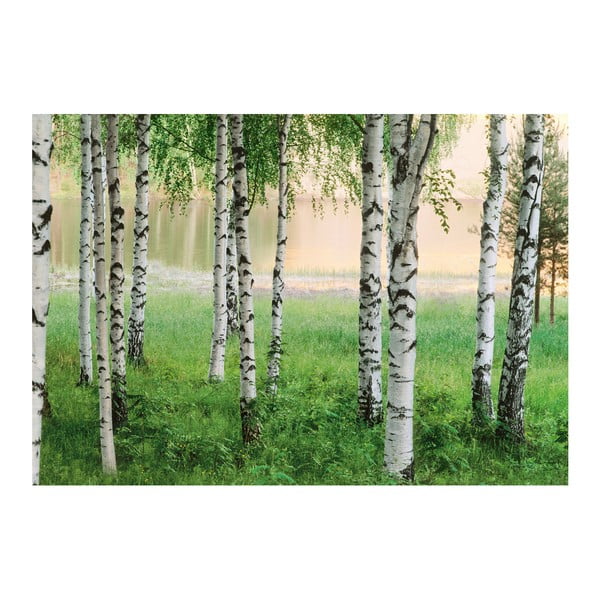 Velkoformátová tapeta Severský les, 366x254 cm
