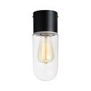 Laelamp Ceiling Black Clear Zen - Markslöjd