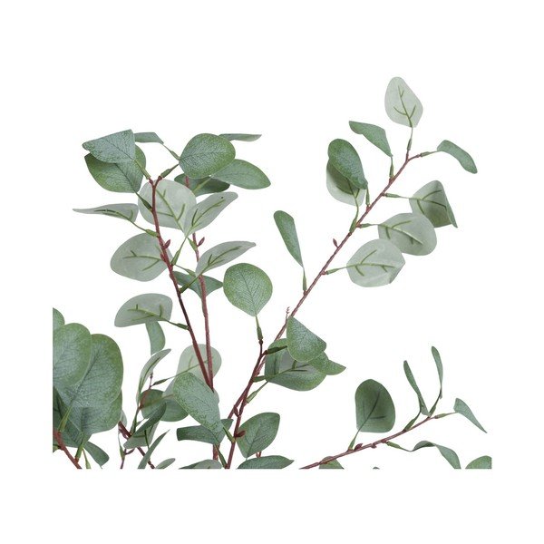 Kunstlik eukalüpt (kõrgus 180 cm) Eucalyptus - Ixia-image-2
