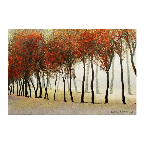 Obraz na plátně Marmont Hill Wooden, 61 x 41 cm