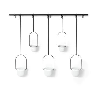 Plastikust lillepoti katted 5tk komplektis maitsetaimedele/riputamiseks ø 7,5 cm Triflora – Umbra