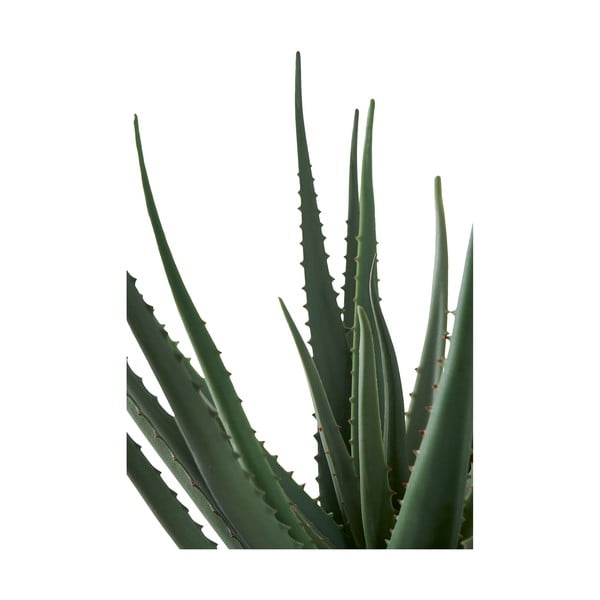 Kunsttaim (kõrgus 51 cm) Aloe Vera - House Nordic-image-3