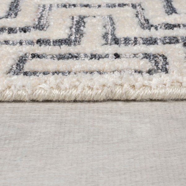 Hall vaip 120x170 cm Rhett - Flair Rugs-image-4