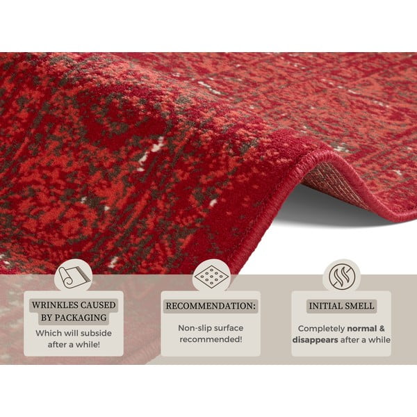 Punase vaiba tähistamine , 160 x 230 cm Plume - Hanse Home-image-4