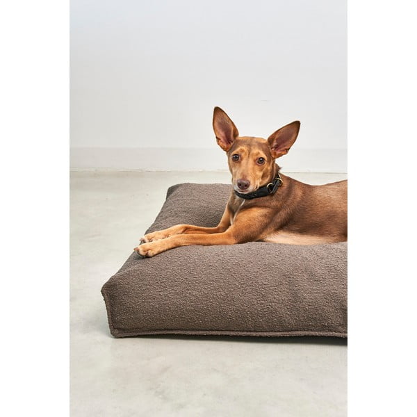 Pruun bukleekangast koeramadrats 100x75 cm Mondo Chocolate M - MiaCara-image-2