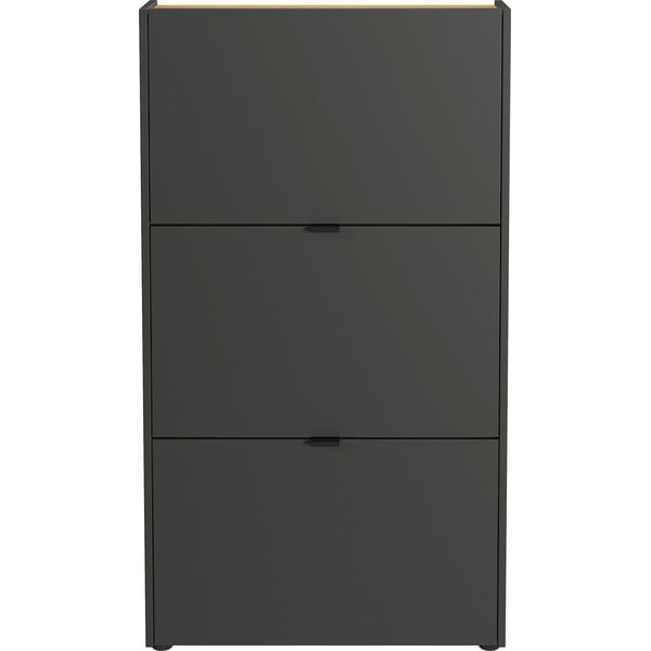 Antratsiitne kokkupandav kingakapp 71x127x22 cm Ameca - Germania-image-3