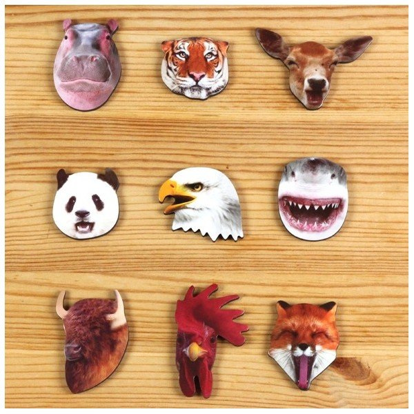 Magnety Jungle Magnets-image-1