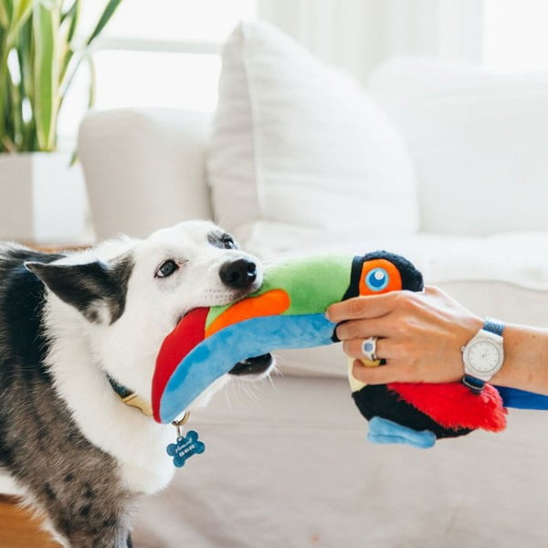 Mänguasi koerale Tukan - P.L.A.Y.-image-1