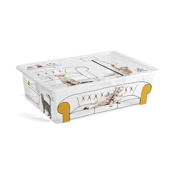 Valge kaanega hoiukarp 55x39x16 cm C Box Style - KIS