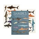 Laste tatoveeringud Sharks – Rex London