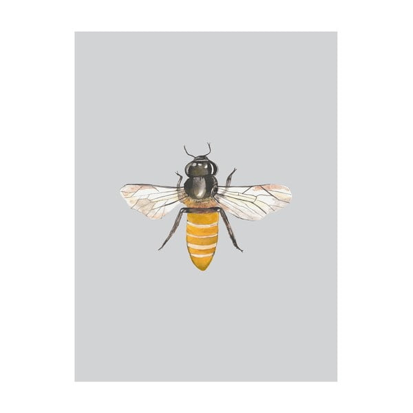 Plakát Apolena Little Bee, 40 x50 cm