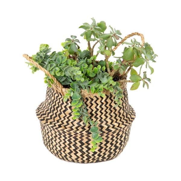 Seagrassist hoiukorv , ⌀ 27 cm Zic Zac - Compactor-image-2