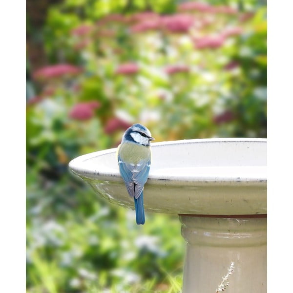 Lindude jooginõu – Esschert Design-image-2