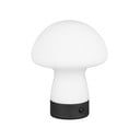 Matt valge LED laualamp klaasist varjuga (kõrgus 18 cm) Dooley - Reality