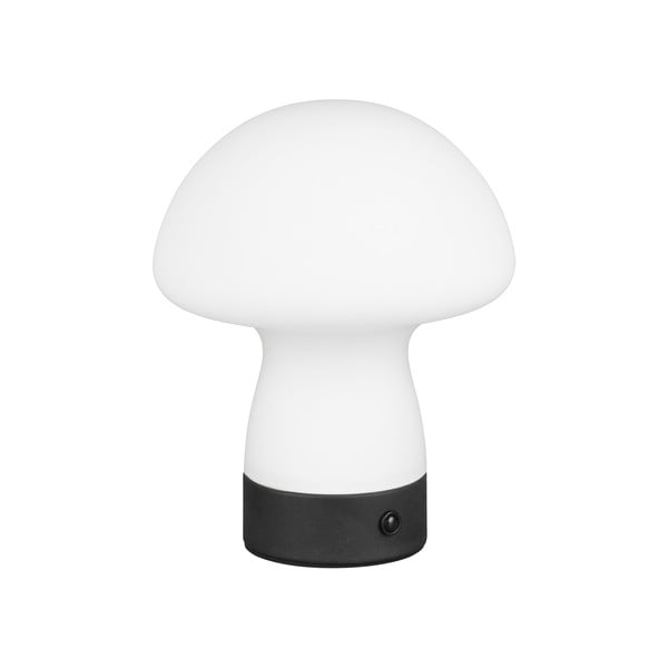 Matt valge LED laualamp klaasist varjuga (kõrgus 18 cm) Dooley - Trio