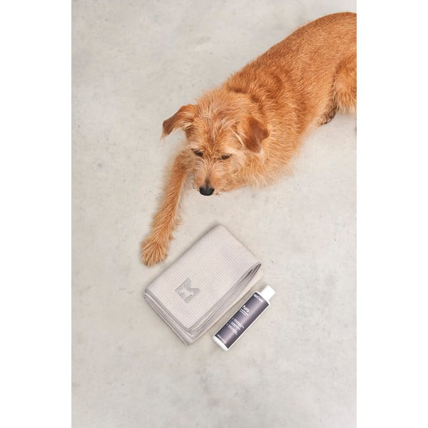 Lemmiklooma rätik Panno Greige S/M - MiaCara-image-4