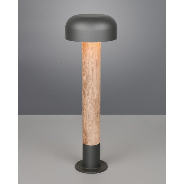 Sammas välisvalgusti ø 19 cm Fraser - Trio-image-1
