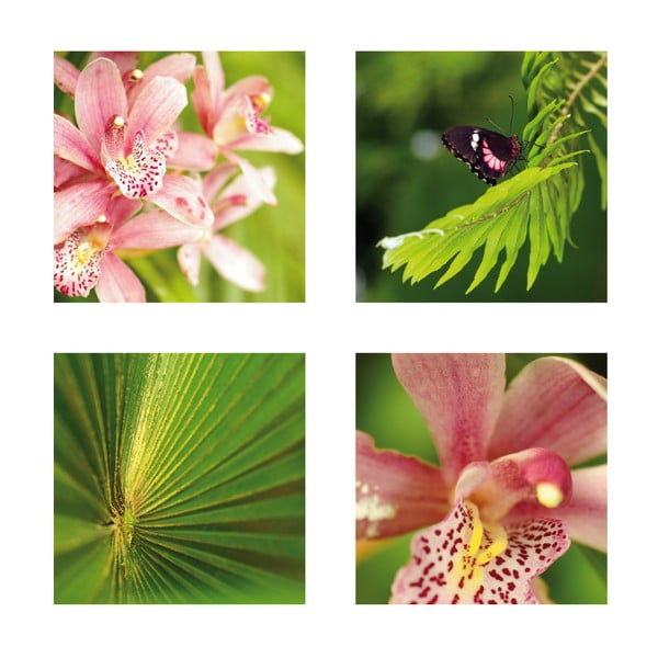 Set 4 fotoobrazů Orchidej, exkluzivní edice