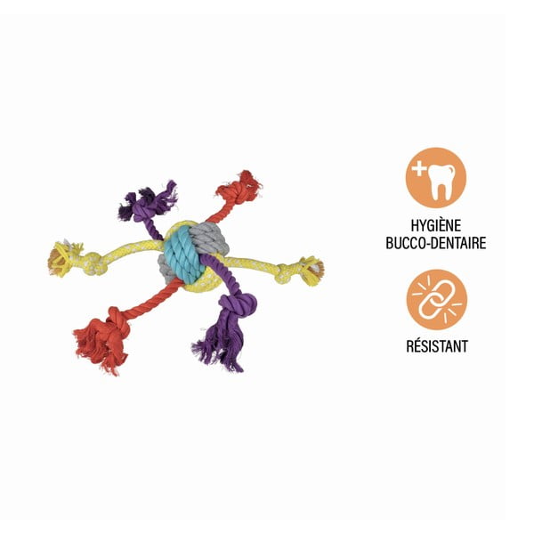 Koera mänguasi - Love Story-image-1