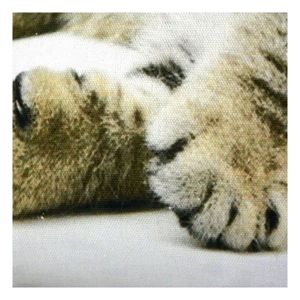 Polštář Cat 50x35 cm-image-1