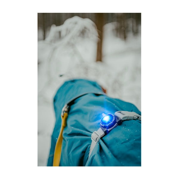 LED-kaelarihm Blue – Orbiloc-image-3