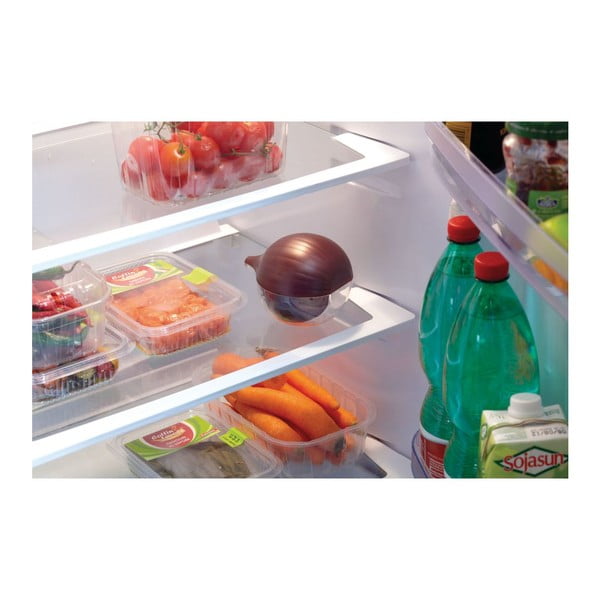 Sibulapurk Sibul - Snips-image-2