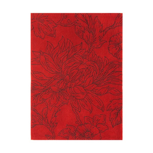 Koberec Asiatic Carpets Harlequin Draw Red, 120x170 cm