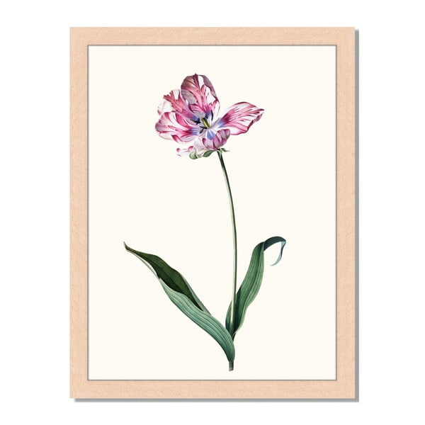 Obraz v rámu Liv Corday Provence Red Floral, 30 x 40 cm