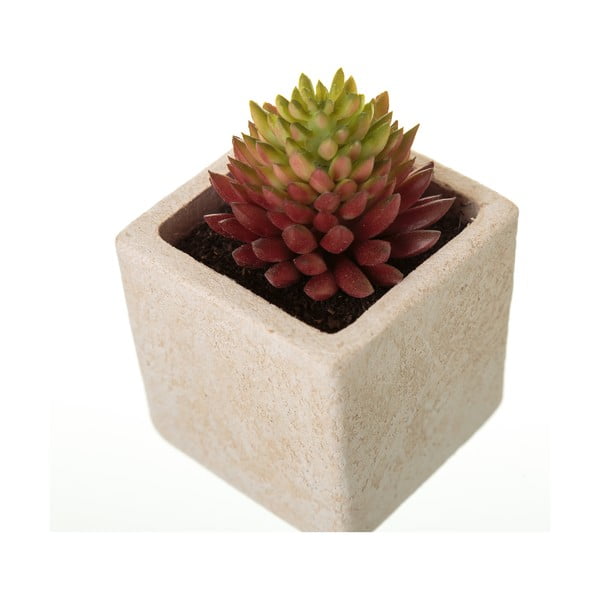 Kunsttaimed 6 tk komplektis (kõrgus 9,5 cm) Cactus – Casa Selección-image-4