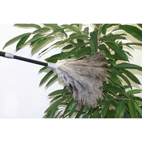 Straussi sulgede tolmupuhasti - Maximex-image-2