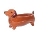Portselanist dekoratiivne kauss 5x14 cm Sausage Dog - Sass & Belle