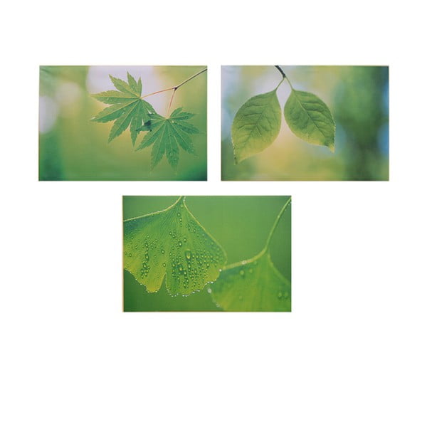 Set 3 dřevěných obrazů Leaves, 50x36 cm