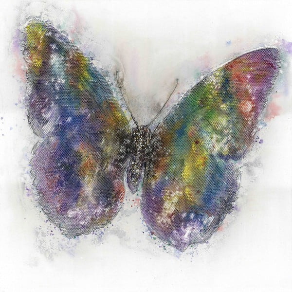 Ručně malovaný obraz Vivorum Butterfly, 80 x 80 cm