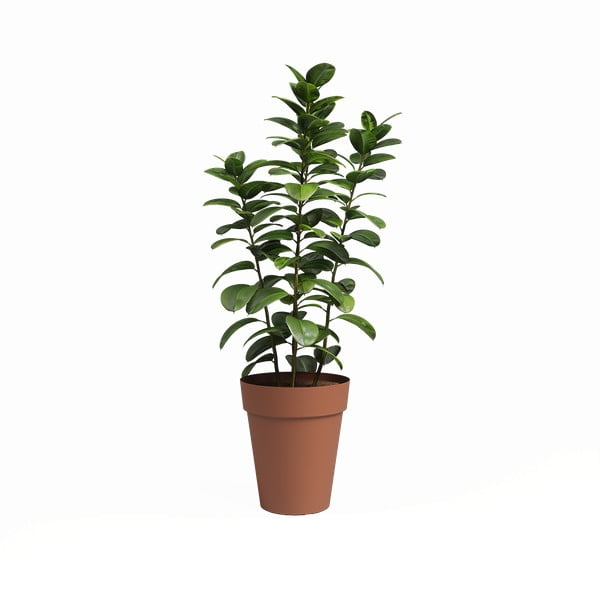 Taaskasutatud plastikust lillepott ø 40 cm Capri - Artevasi-image-1