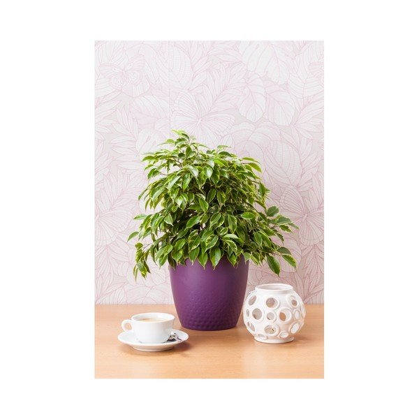 Fialový květináč Plastia Perla, ø 19 cm-image-1