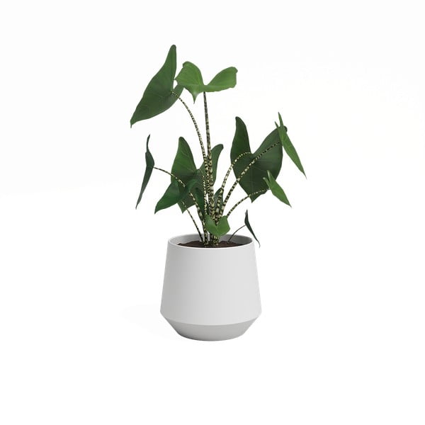 Keraamiline lillepott ø 17 cm Aurora - Artevasi-image-3