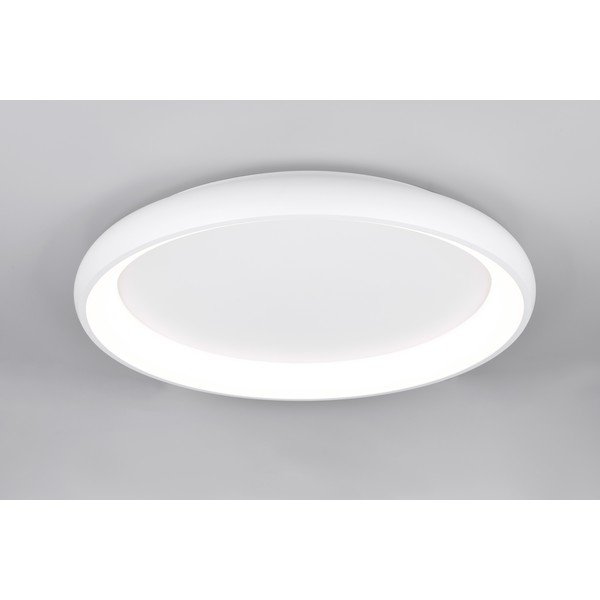 Valge LED dimmerdatav laevalgusti Cardona - Trio-image-3