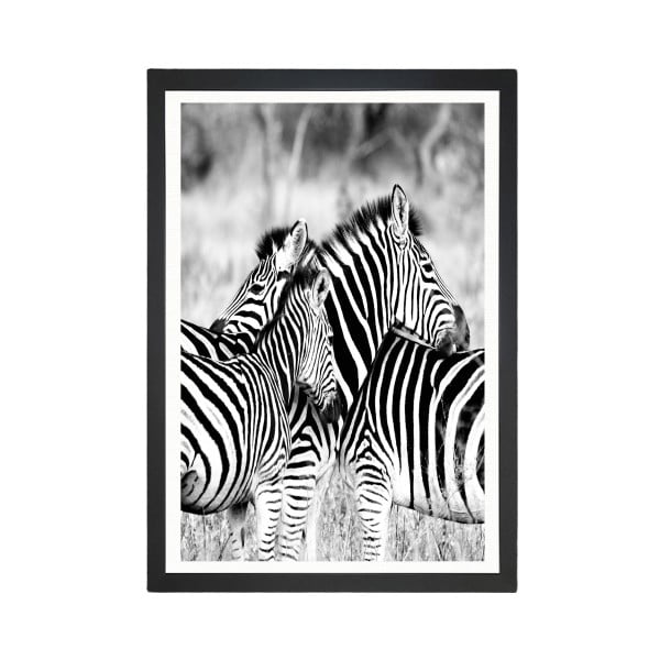 Maalimine Sebrad, 24 x 29 cm Brighton Zebras - Tablo Center