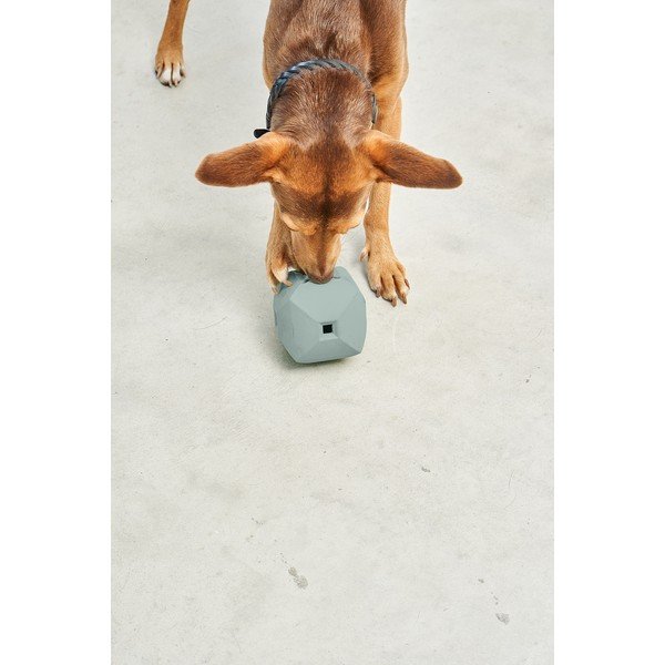 Koera mänguasi Dado Eucalyptus - MiaCara-image-3