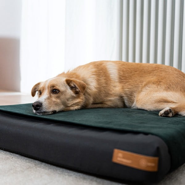 Must ortopeediline madrats 70x60 cm Ori L – Rexproduct-image-2