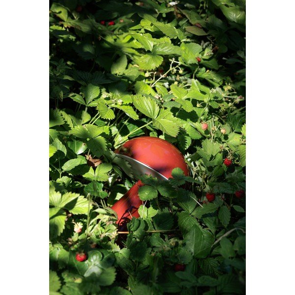 Punane dimmerdatav LED laualamp (kõrgus 20 cm) Mush - Hübsch-image-4