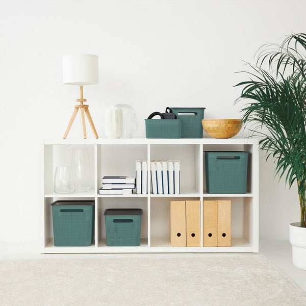 Plastist hoiukorv Brisen - Rotho-image-1