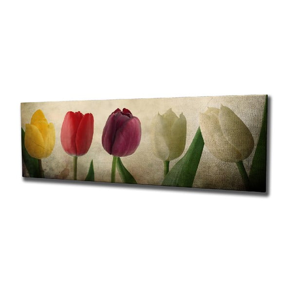 Nástěnný obraz na plátně Tulip, 80 x 30 cm