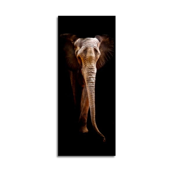 Pilt , 125 x 50 cm Elephant - Styler