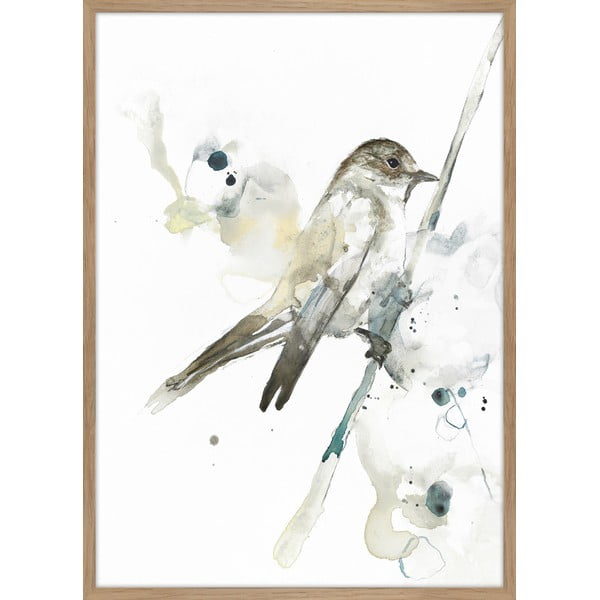 Plakat raamis 50x70 cm Bird 2 - Malerifabrikken