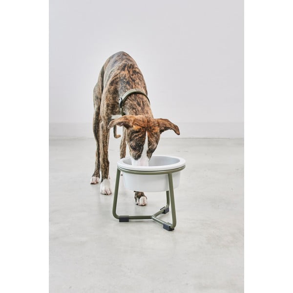 Portselanist koera kauss koos alusega ø 20 cm Pranzo Grolive M - MiaCara-image-3